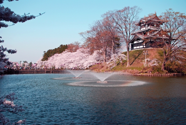 新潟県桜の名所ランキングトップ５と穴場のスポットまとめ